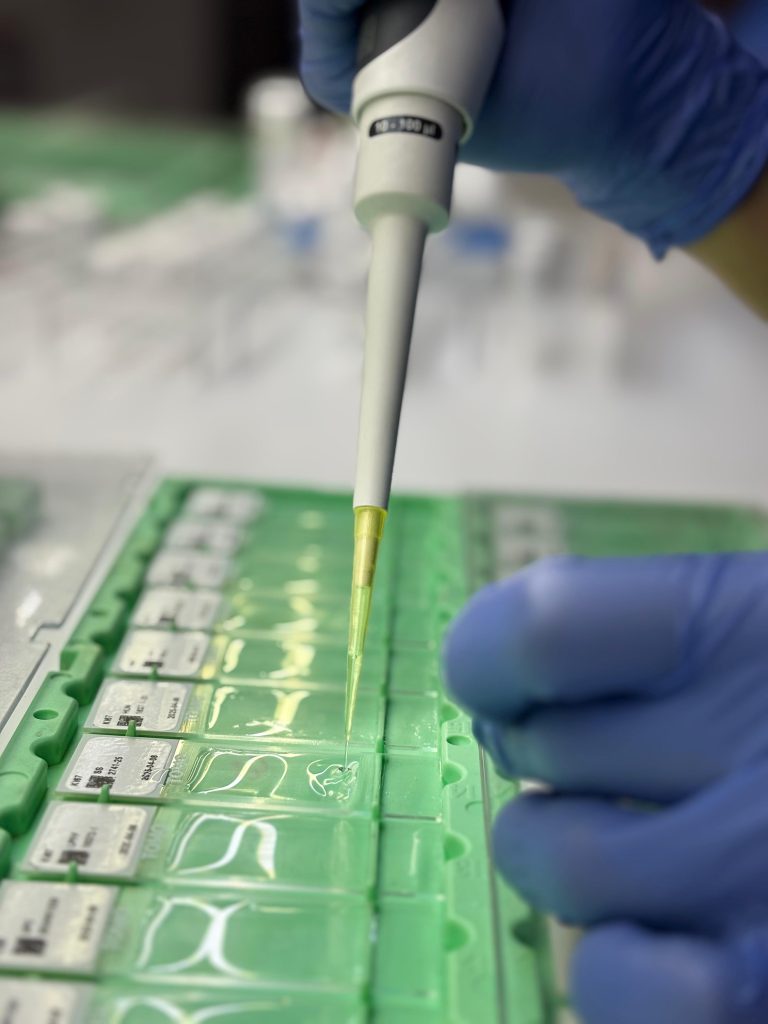 Servicio de inmunohistoquímica en Colombia